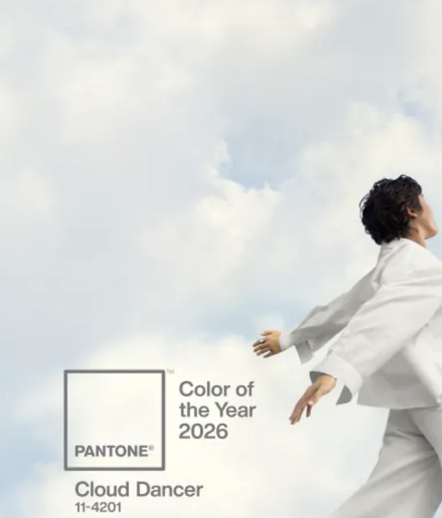choisir une couleur à la mode en 2026