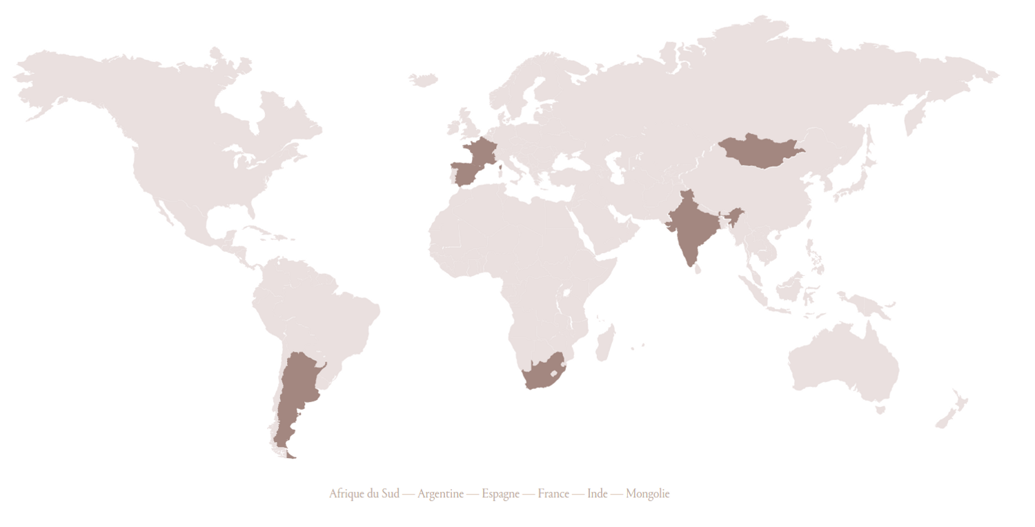 kering conservation internationale