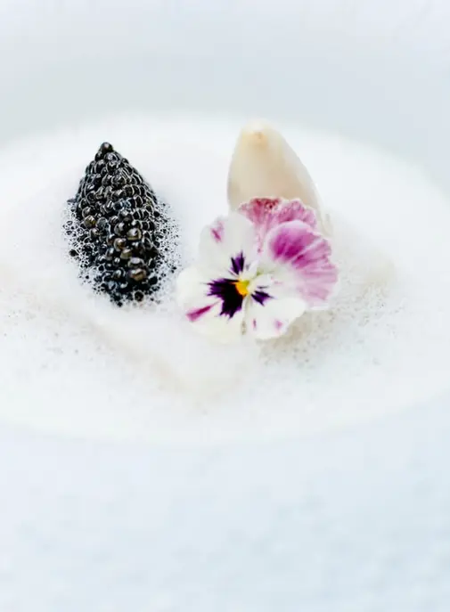 Quels sont les rares hôtels français qui disposent d'un restaurant trois étoiles ?