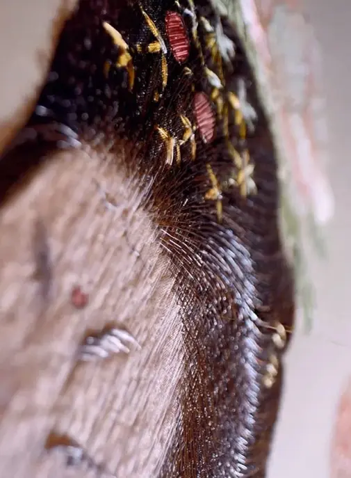 Tendance 2026 : quand les marques célèbrent le patrimoine et le savoir-faire artisanal