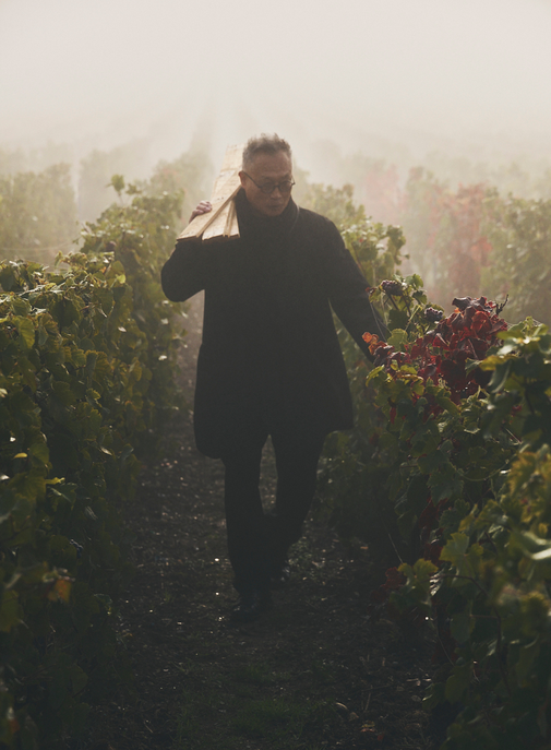 Ruinart dévoile l'édition 2026 des Conversations avec la Nature