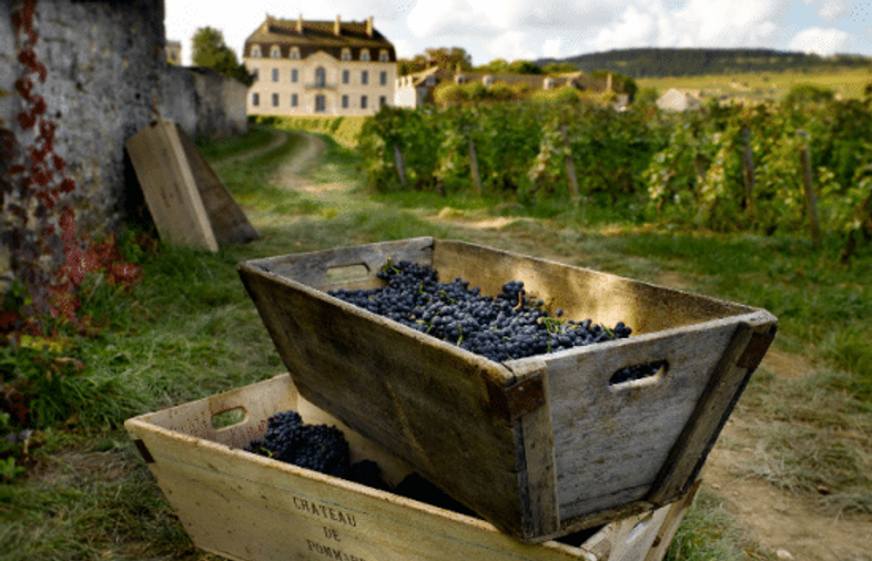 La Bourgogne continue de produire les vins les plus chers