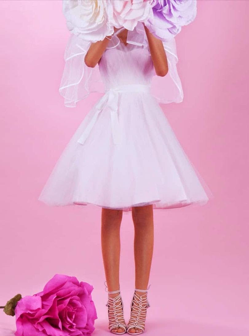 shoes sophia webster