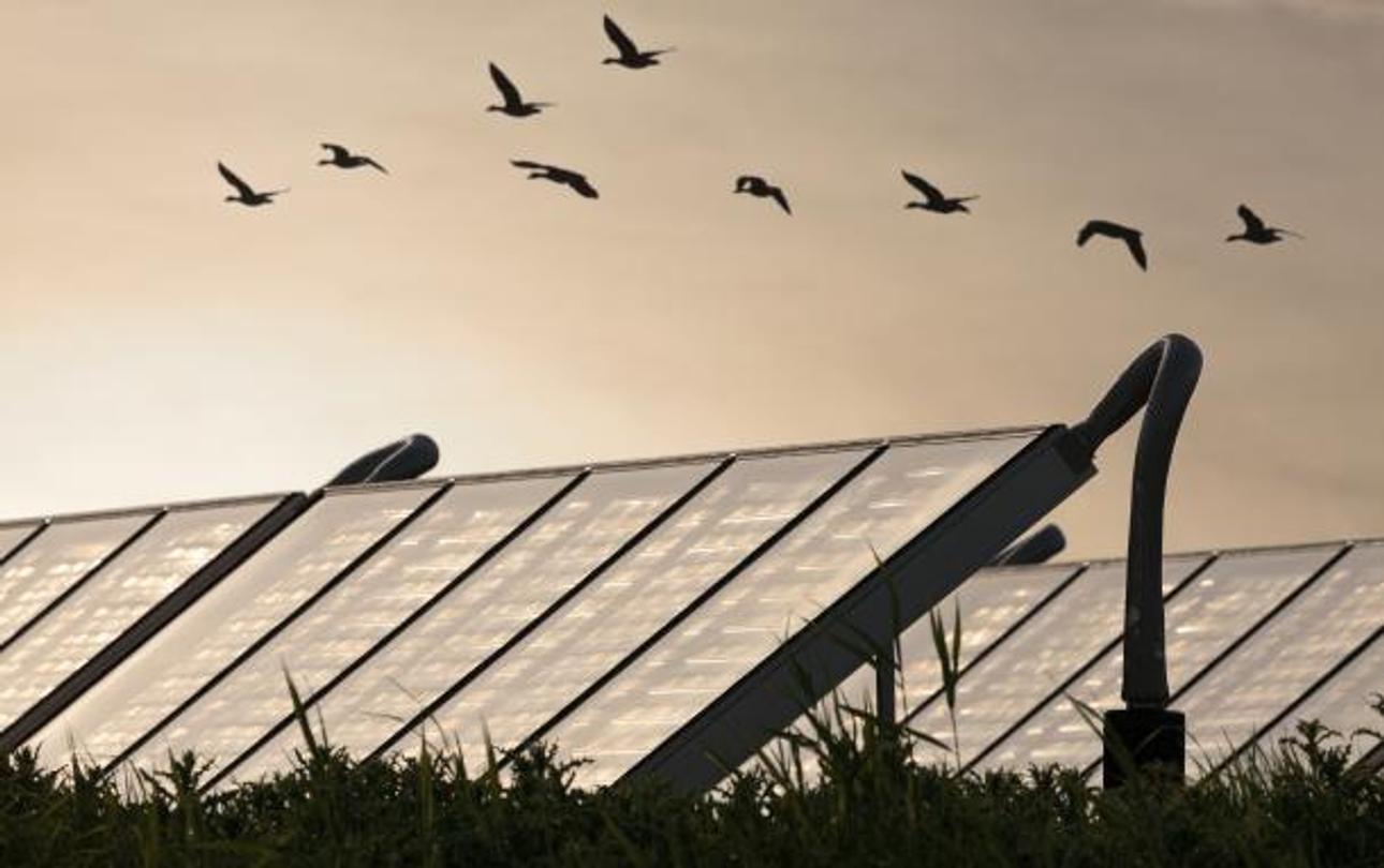 Kering préservation de l'environnement