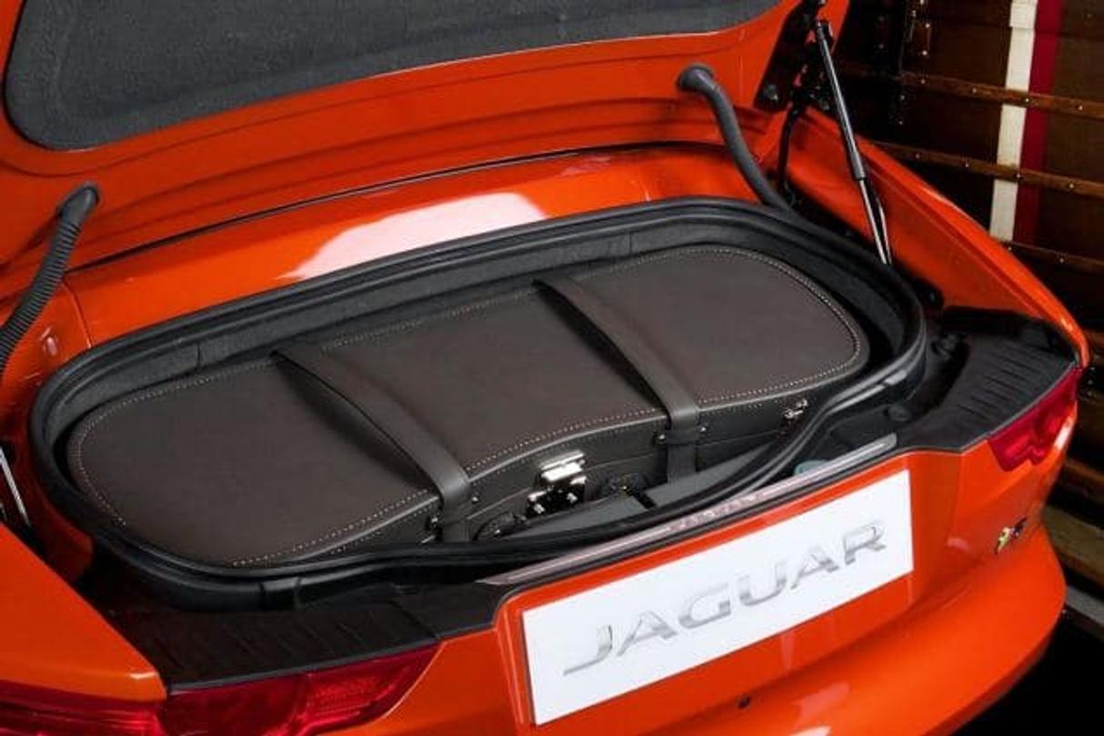 moynat jaguar