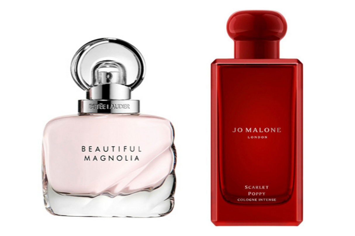 chiffre d'affaires estée Lauder