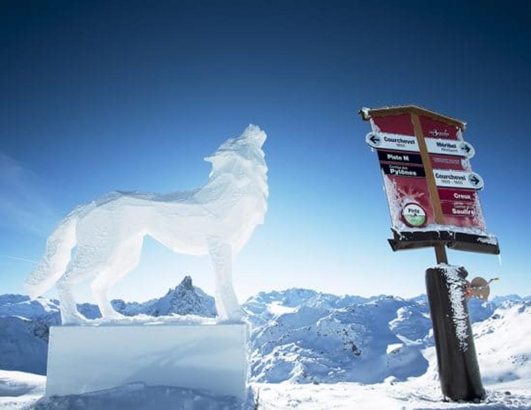 loup en glace courchevel