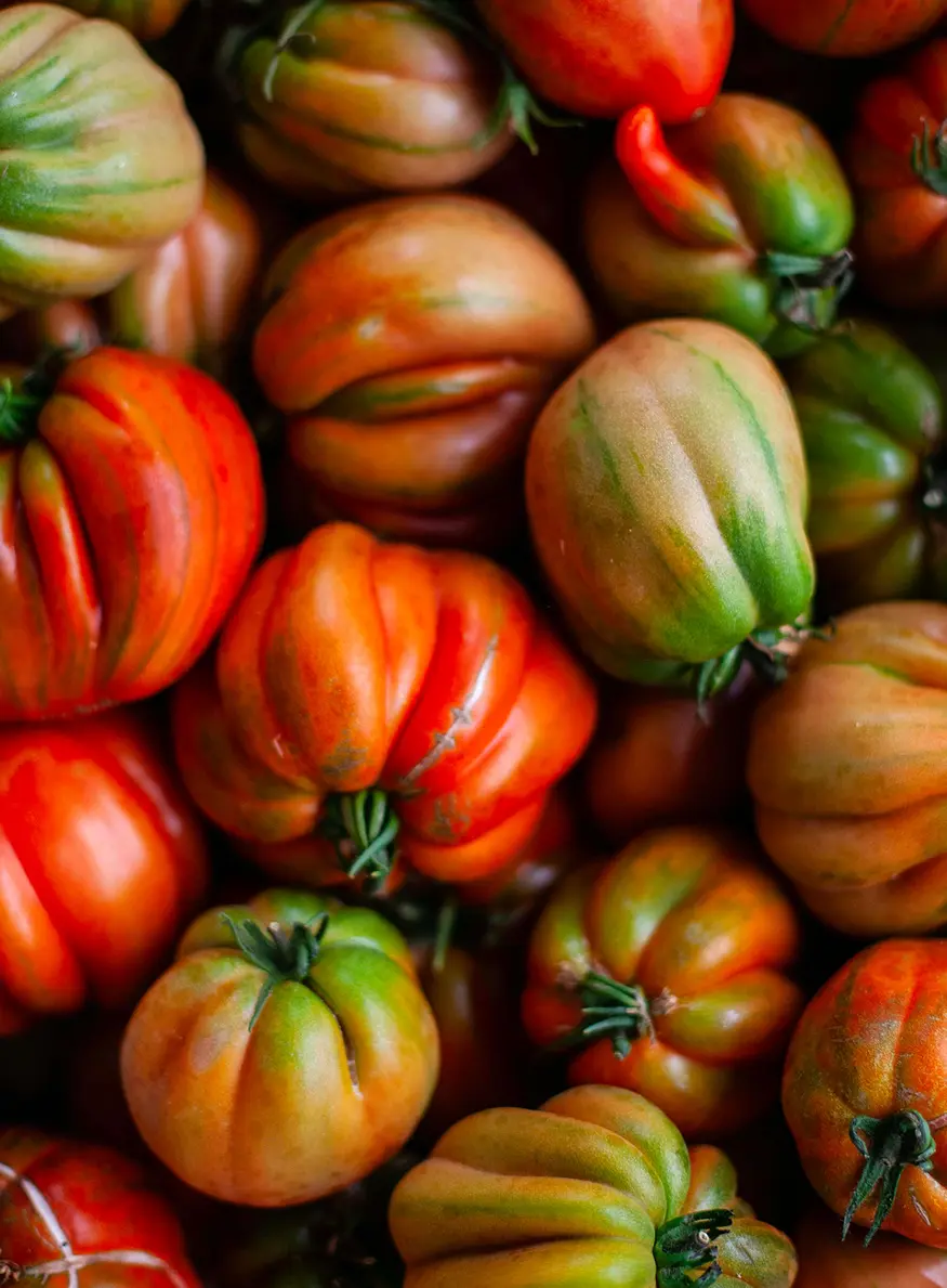 arpège, restaurant vegetal alain passard