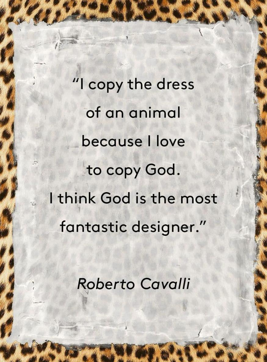 roberto cavalli