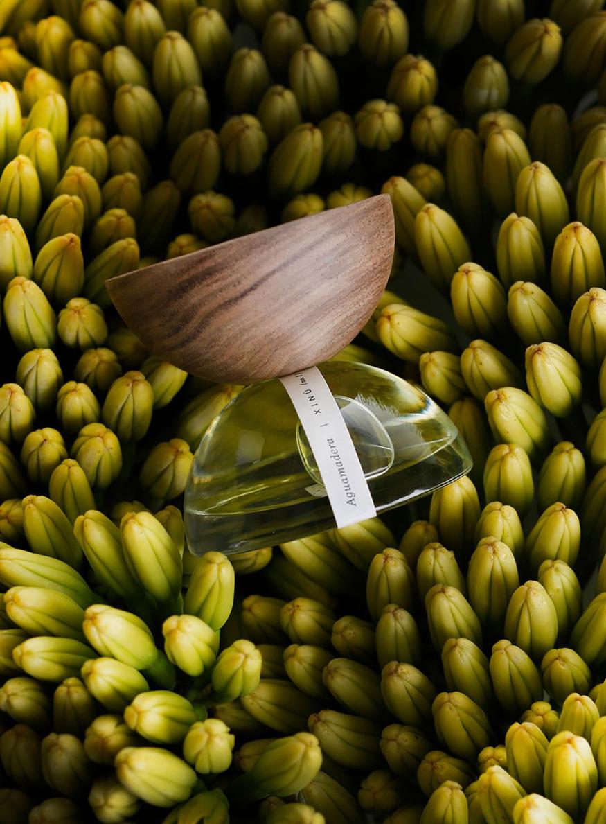 XINÚ, nouvelle marque de parfums mixtes de luxe du maxique soutenue par Estée Lauder