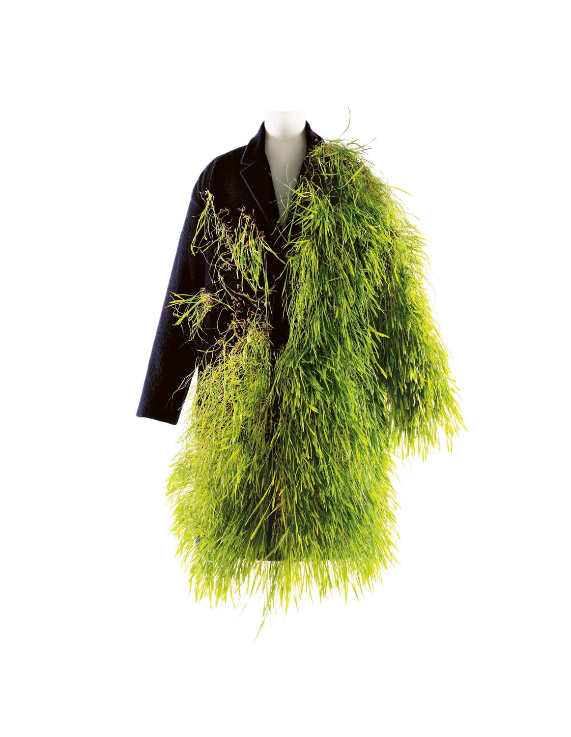 robe loewe met musée