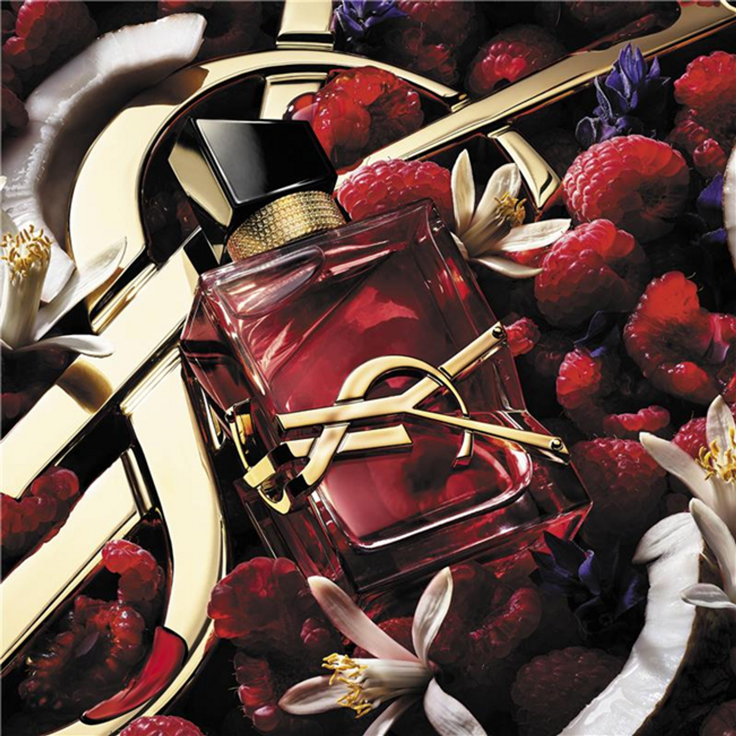 ysl beaut&eacute; parfum pr&eacute;sentation au rex club